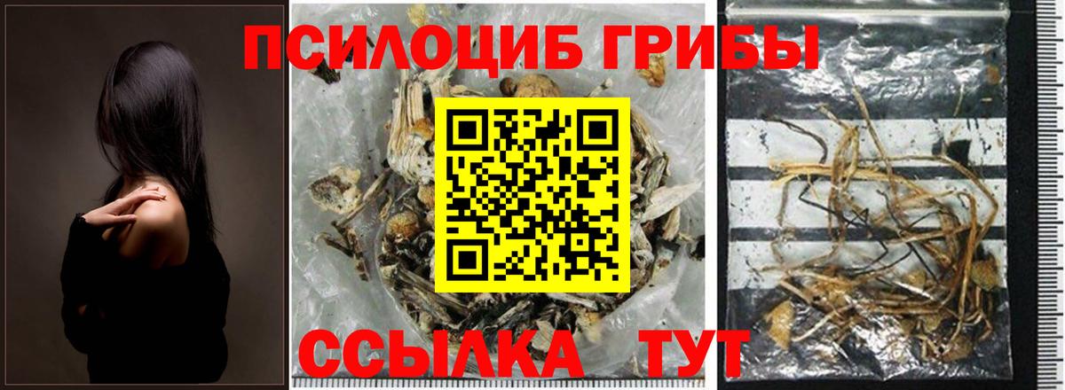 Псилоцибиновые грибы GOLDEN TEACHER Сальск
