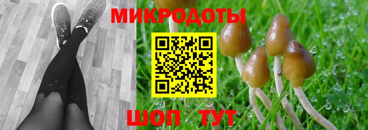Сальск  Псилоцибиновые грибы Psilocybine cubensis  Вход с VPN  Галлюциногенные грибы Cubensis 